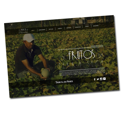 Os frutos da terra seca